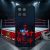 Profesionálny Wrestling - Cody Rhodes - I wont give up - Honor obal