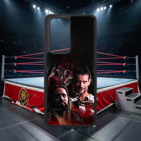 Profesionálny Wrestling - Seth Rollins VS CM Punk - Iné obaly