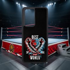   Profesionálny Wrestling - CM Punk BITW - Google Pixel / Huawei obal