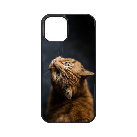 Červená mačka - iPhone obal 