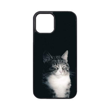 Mačací spánok - iPhone obal 