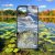 Rybárčenie – Moment Záberu - iPhone obal 