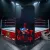 Profesionálny Wrestling - Cody Rhodes - I wont give up - Samsung obal